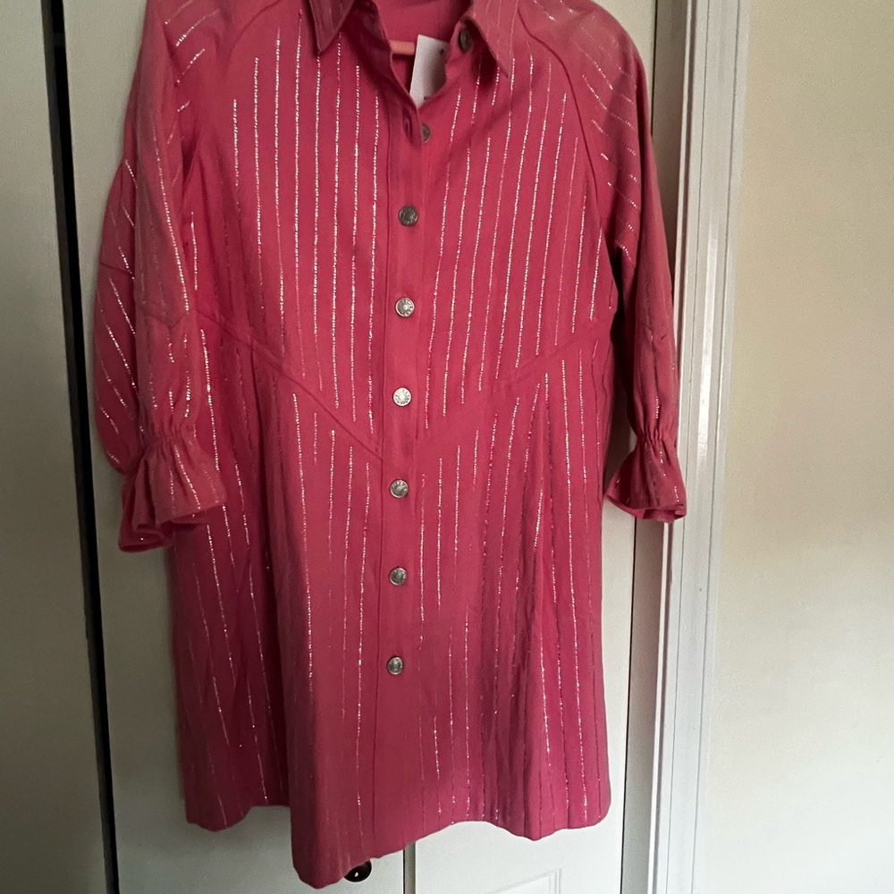Pink Button-Up Dress - Picture 3 of 5